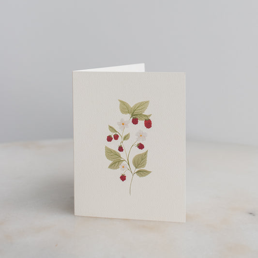 Dainty Raspberry Stem Cards: Box Set of 10