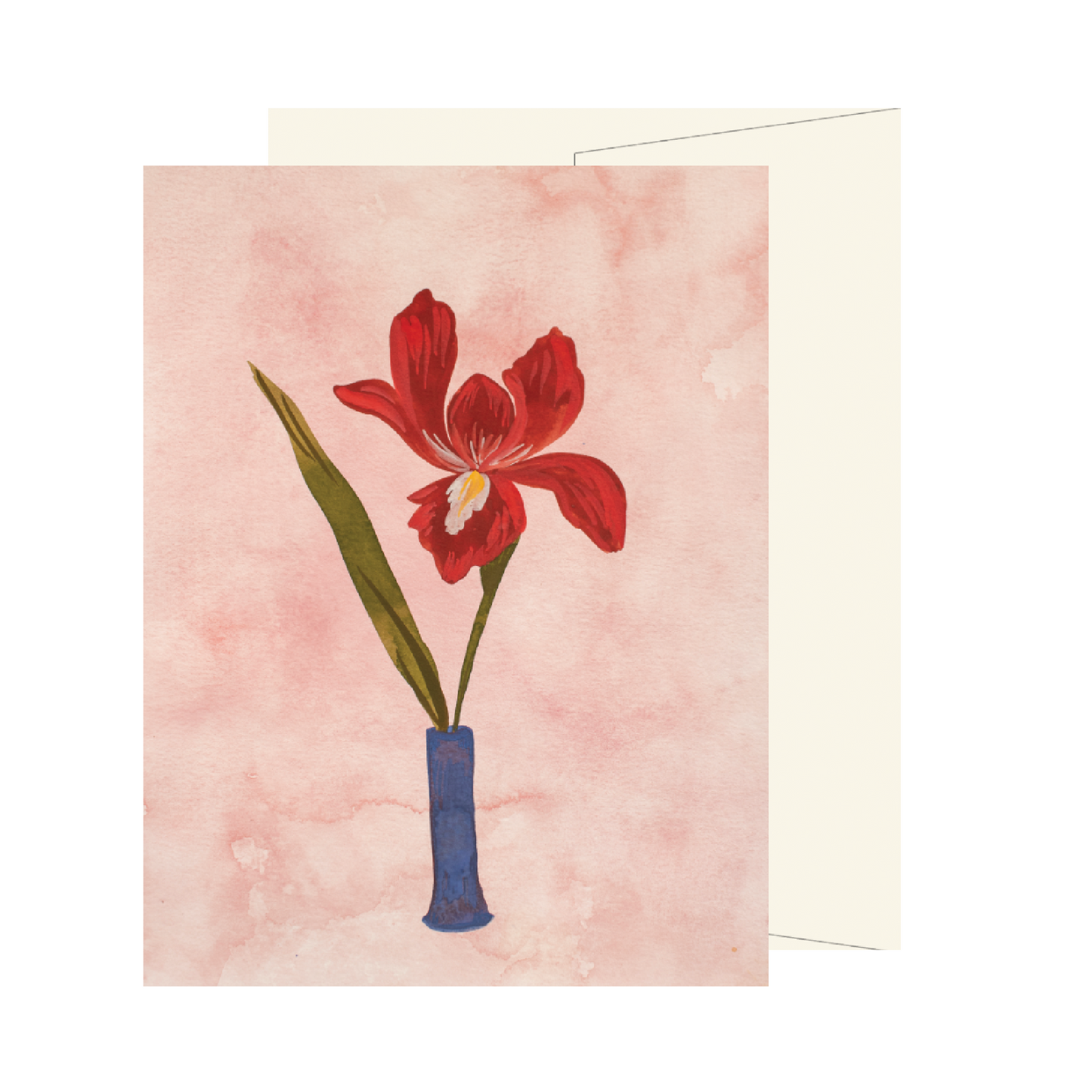 Red Iris Vase Card