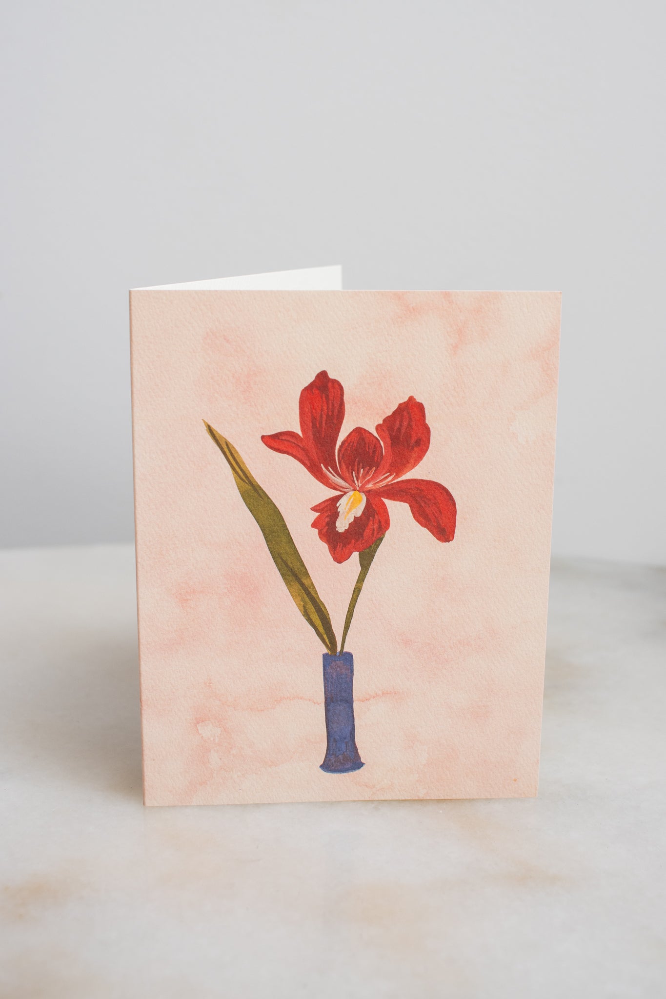 Red Iris Vase Card