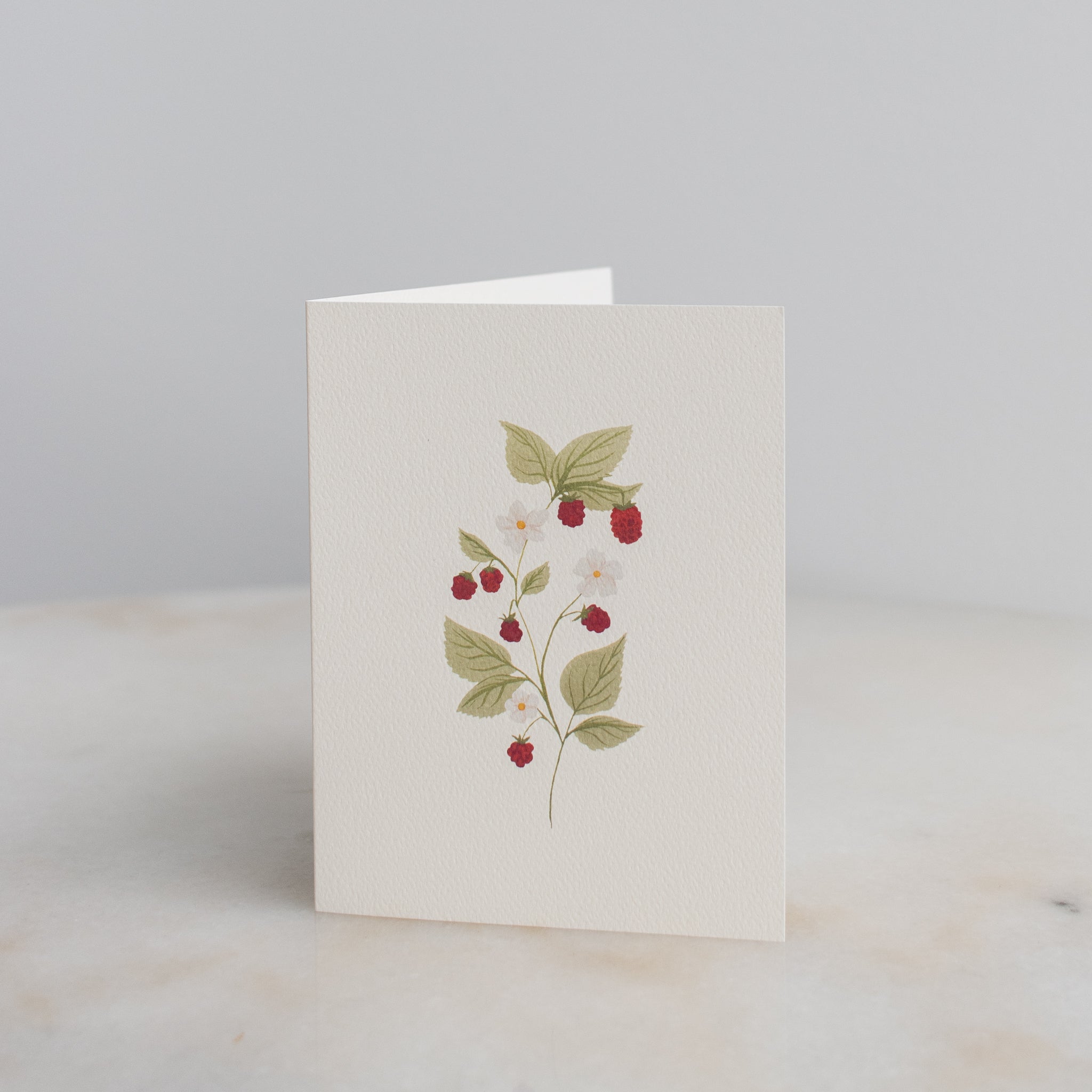 Boxed Set of 10 Dainty Raspberry Stem Cards