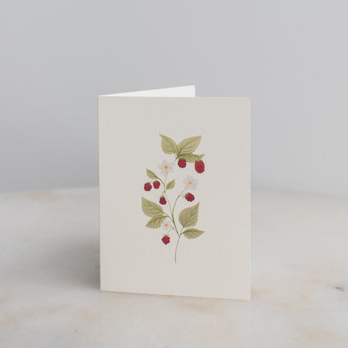 Boxed Set of 10 Dainty Raspberry Stem Cards
