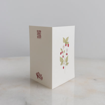 Dainty Raspberry Cards: Box Set of 10