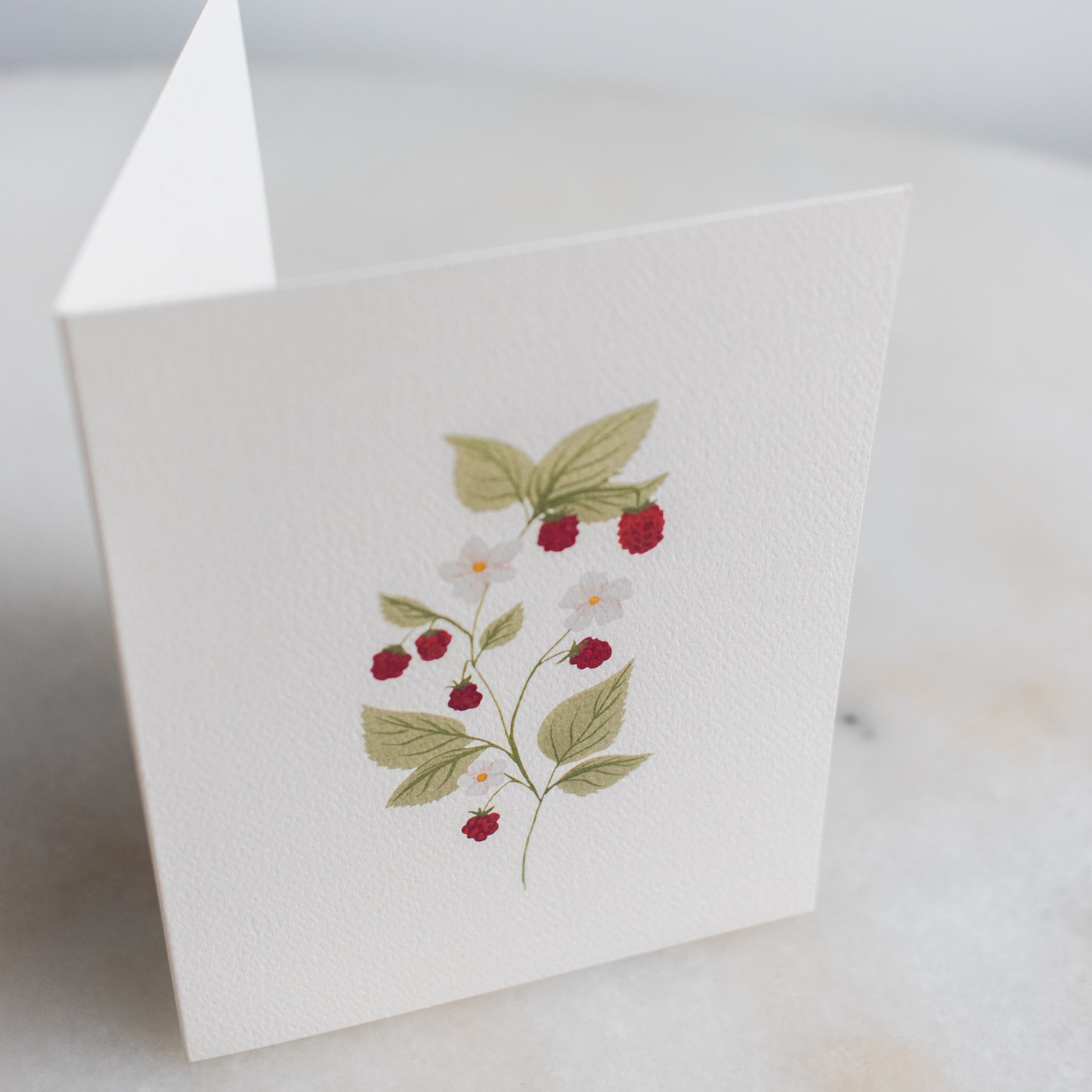 Boxed Set of 10 Dainty Raspberry Stem Cards