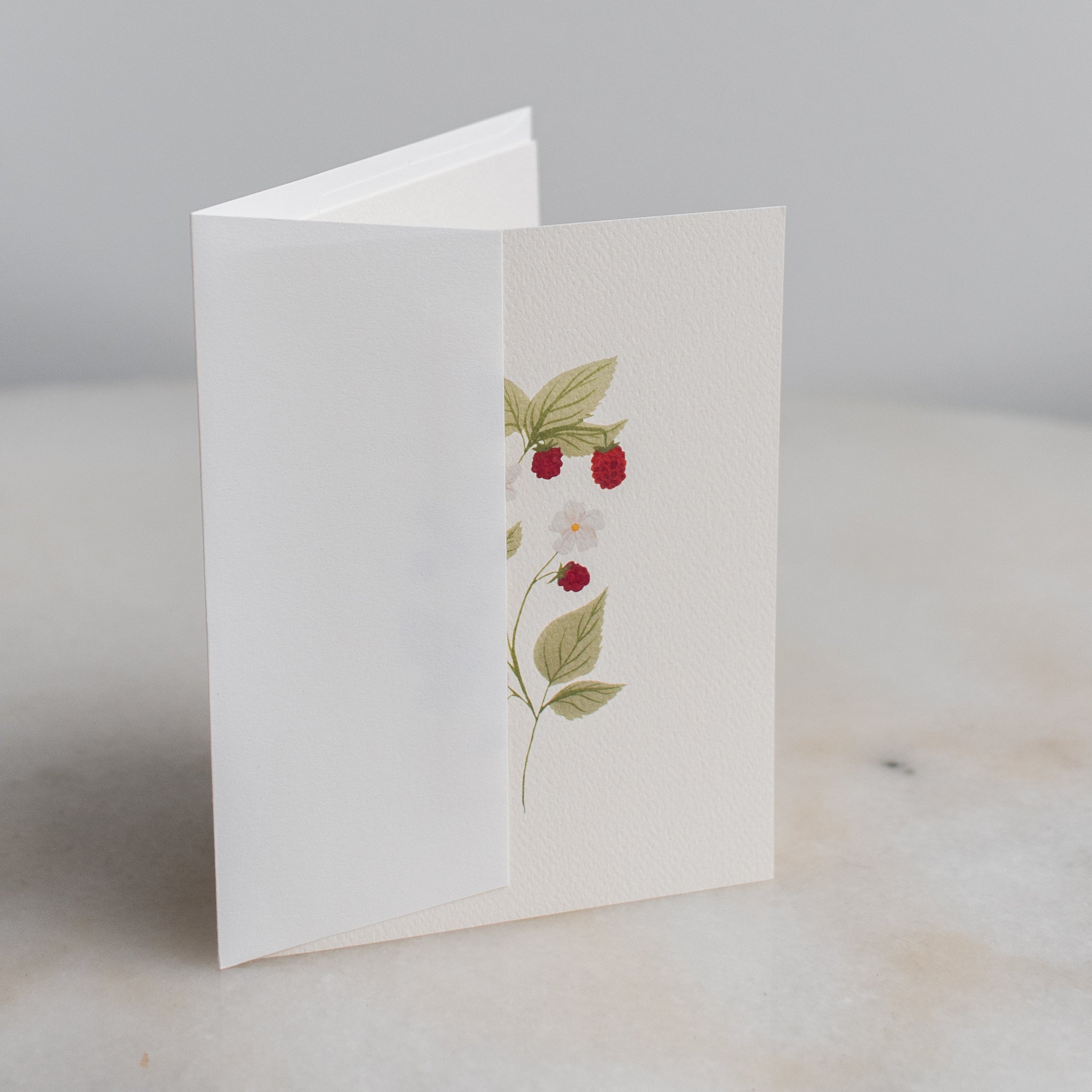Boxed Set of 10 Dainty Raspberry Stem Cards