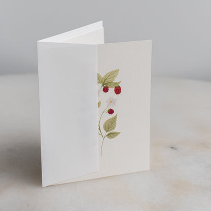 Dainty Raspberry Cards: Box Set of 10