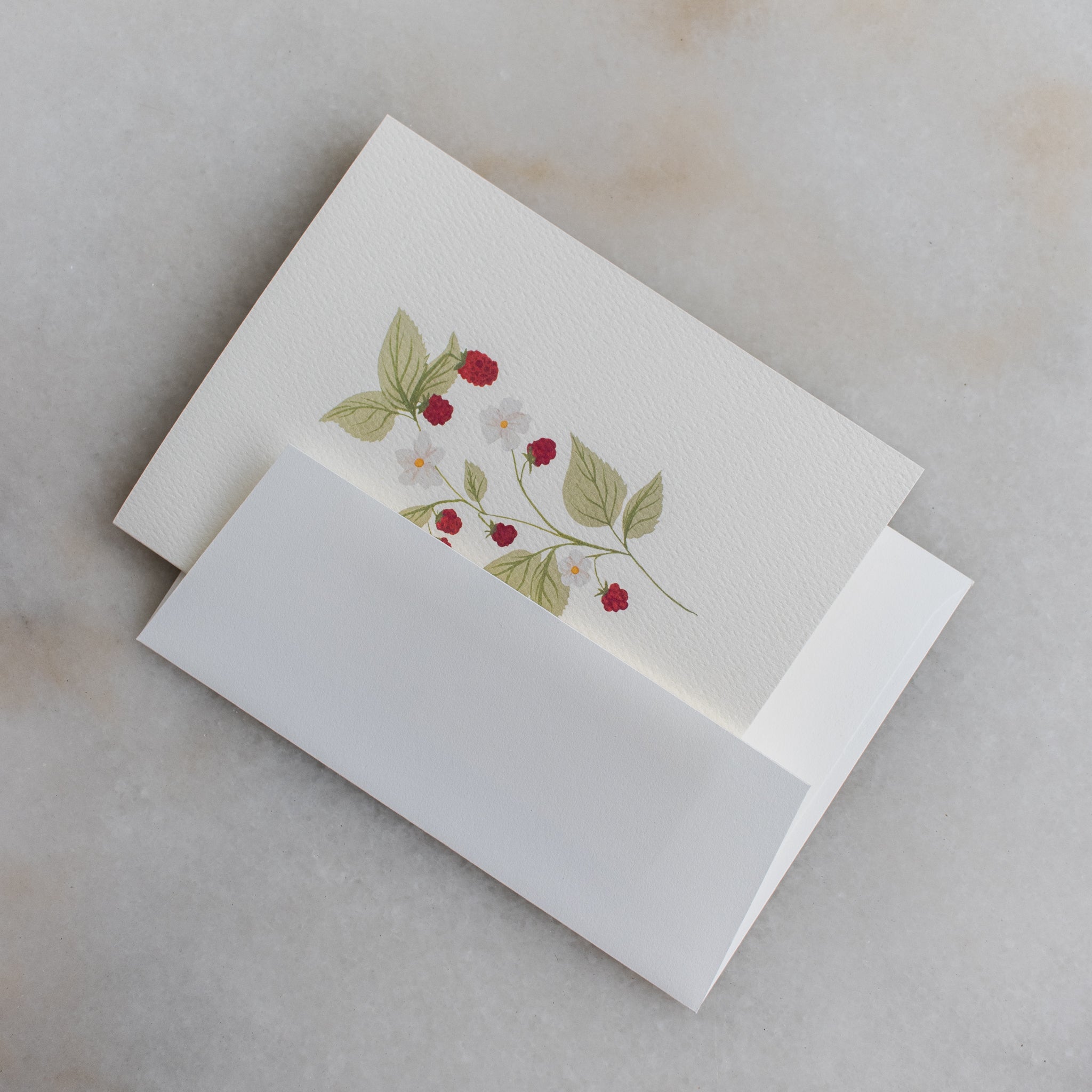 Boxed Set of 10 Dainty Raspberry Stem Cards