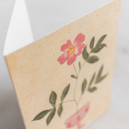 Pink Floral Vase Cards: Box Set of 10