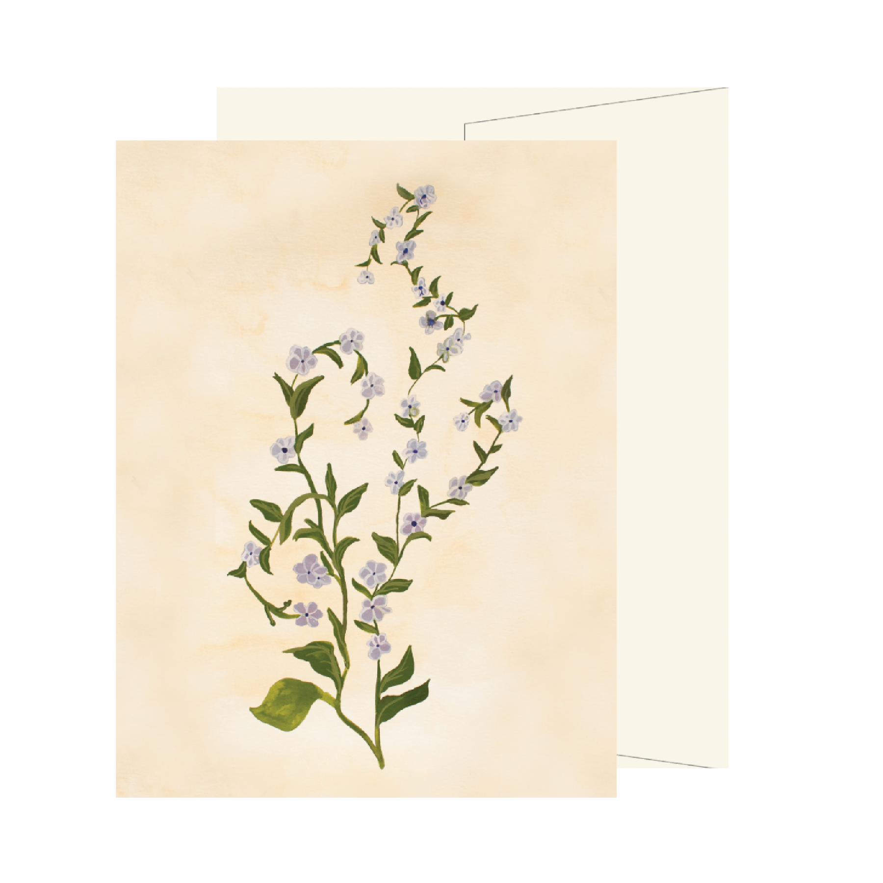 Purple Wildflower Card