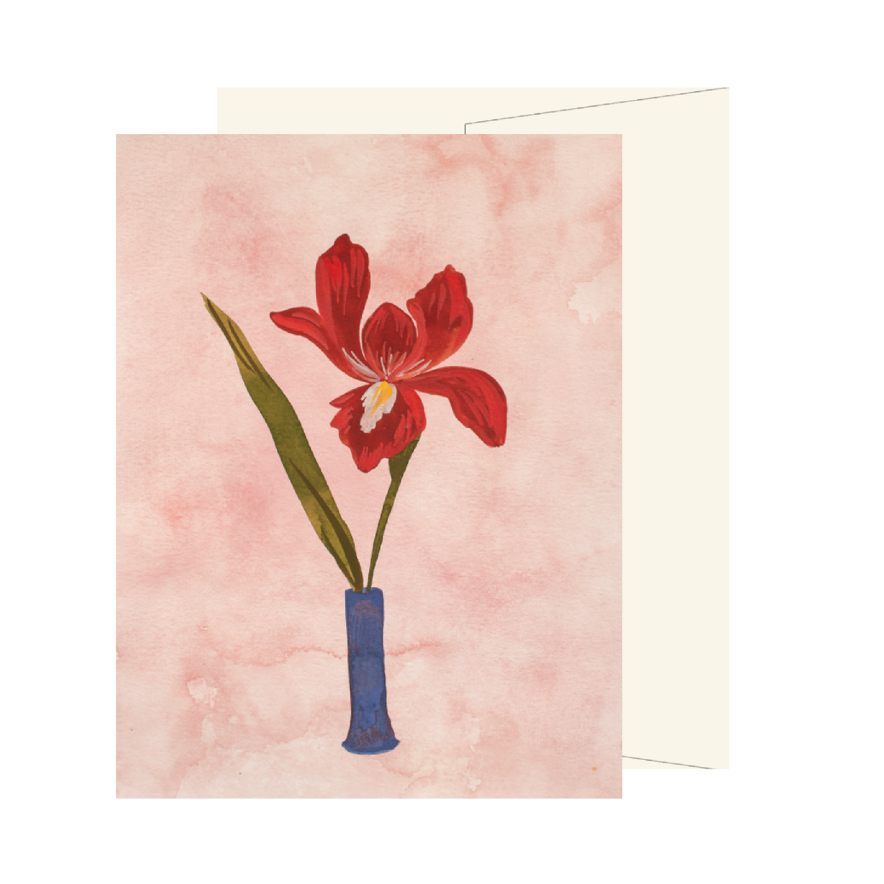 Red Iris Vase Card