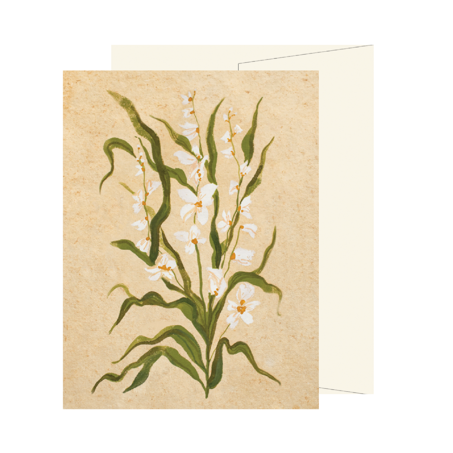 White Wildflower Card