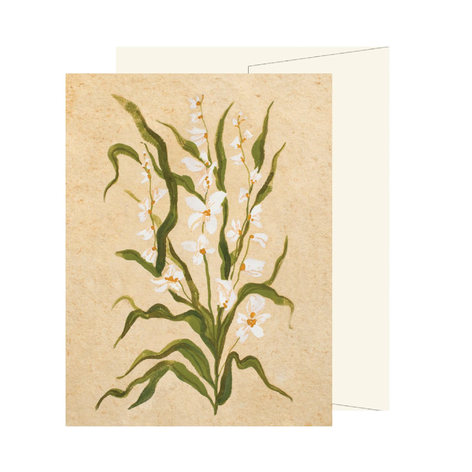 White Wildflower Card