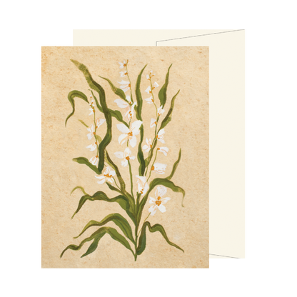 White Wildflower Card