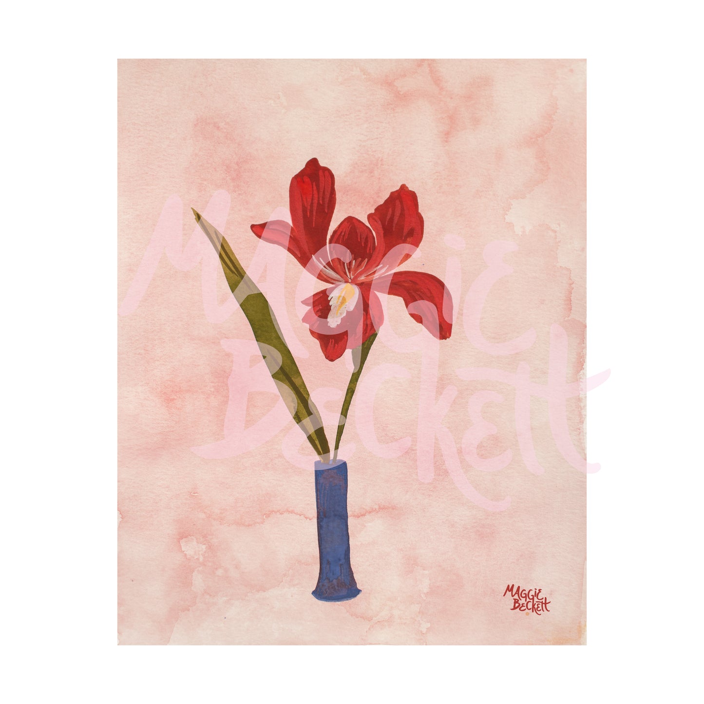 Red Iris Art Print