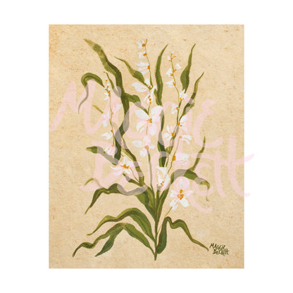 White Wildflower Art Print