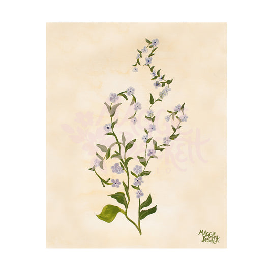 Purple Wildflower Art Print