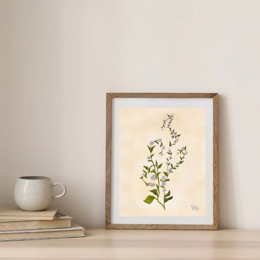Purple Wildflower Art Print