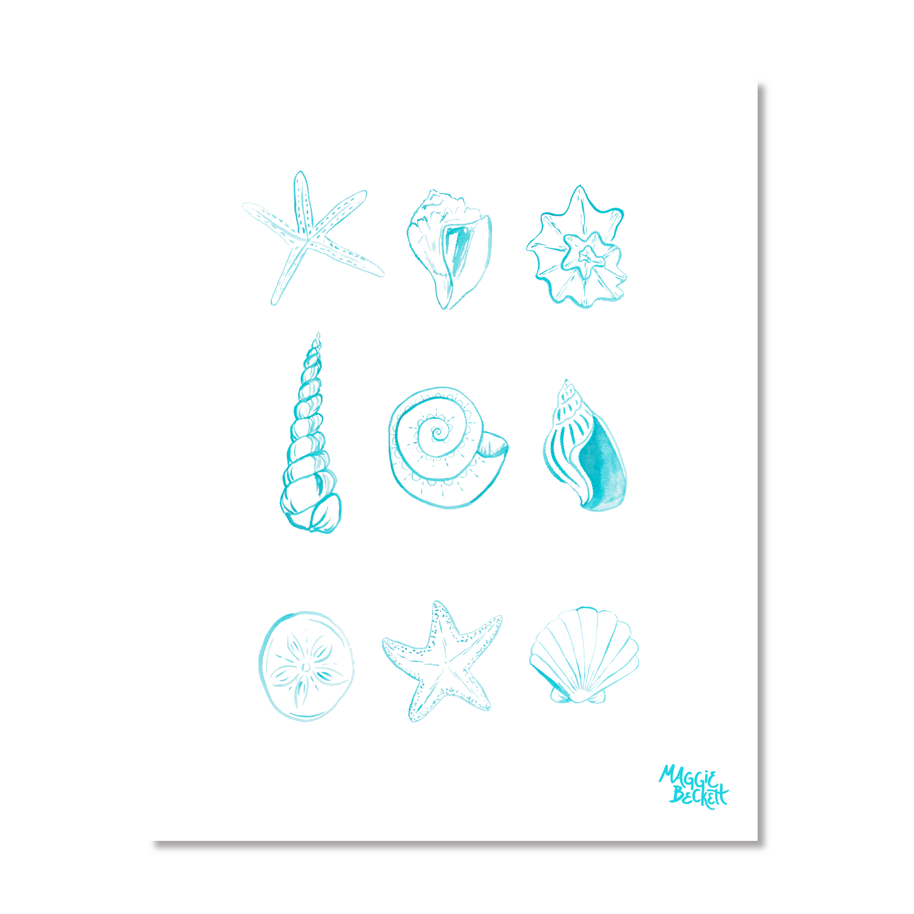Turquoise Seashells Art Print